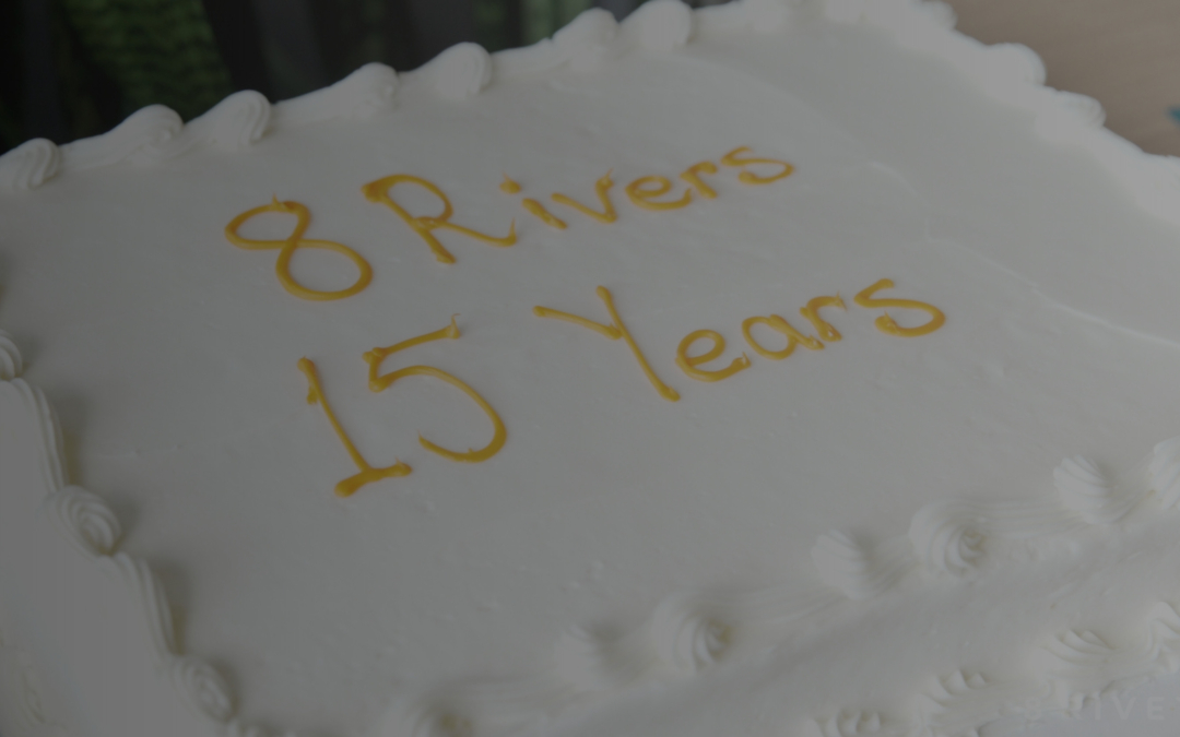 8 Rivers Turns 15! Reflections on Transformative Technologies & Delivering a Net Zero World